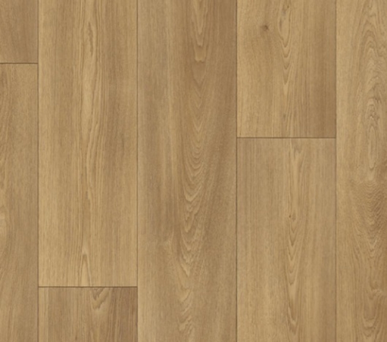 Elast 40 Dimension 636